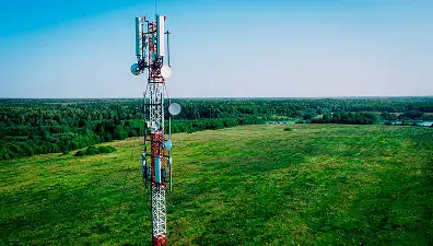 Personne consultant des services de télécom sur son smartphone